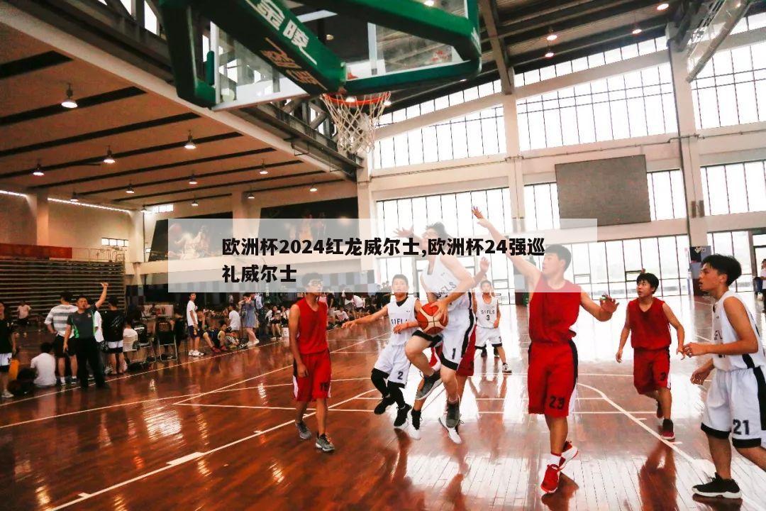 欧洲杯2024红龙威尔士,欧洲杯24强巡礼威尔士