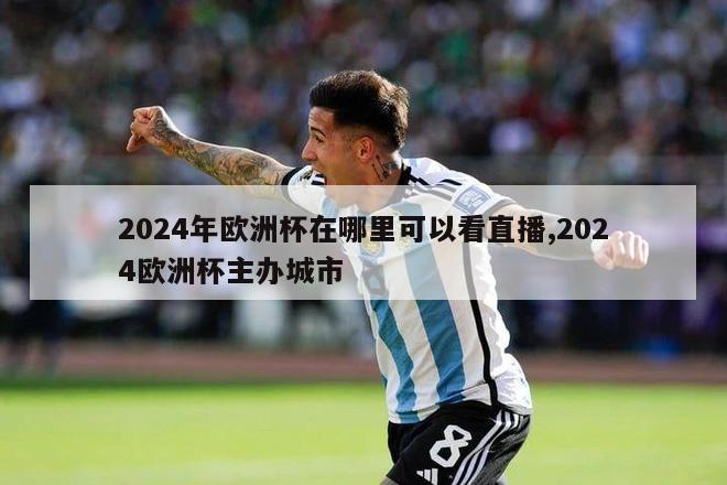 2024年欧洲杯在哪里可以看直播,2024欧洲杯主办城市