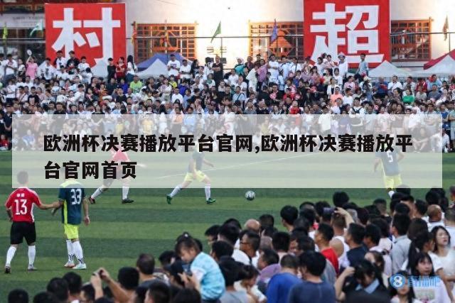 欧洲杯决赛播放平台官网,欧洲杯决赛播放平台官网首页