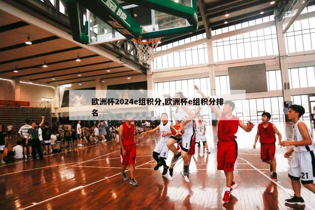 欧洲杯2024e组积分,欧洲杯e组积分排名