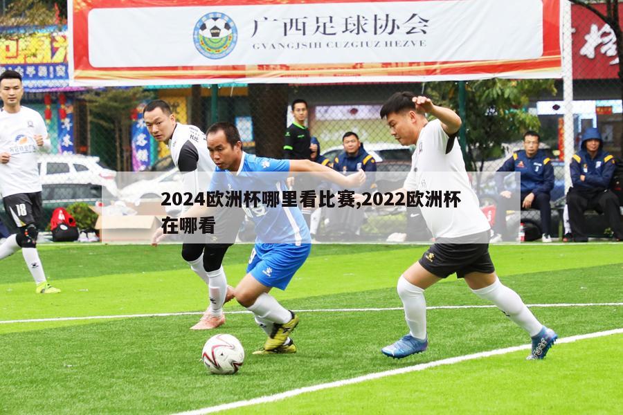 2024欧洲杯哪里看比赛,2022欧洲杯在哪看