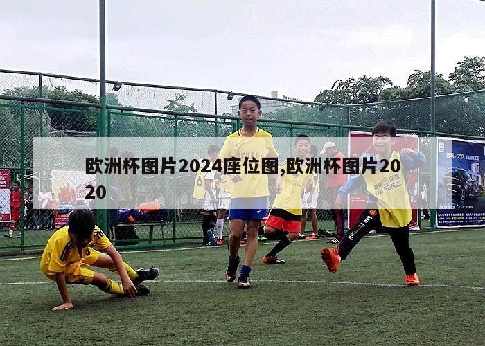 欧洲杯图片2024座位图,欧洲杯图片2020